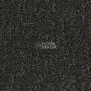 Ковровая плитка Desso Fields 9522 фото 1 | FLOORDEALER