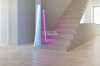 Roots 0.40 дерево MIDLAND OAK 22110Q фото 3 | FLOORDEALER