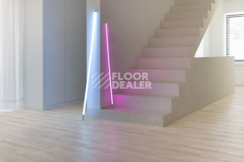 Moduleo Roots 0.40 дерево MIDLAND OAK 22110Q фото 3 | FLOORDEALER
