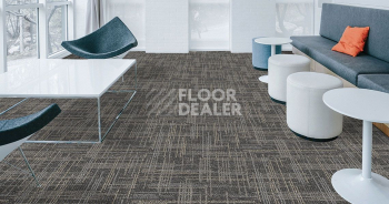 Standard Carpets Casini Casini 576 фото 2 | FLOORDEALER