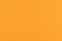 Линолеум Forbo SportLine Standart Fr 0570 фото 1 | FLOORDEALER