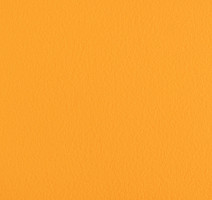 Линолеум Forbo SportLine Standart Fr 0570 фото 1 | FLOORDEALER