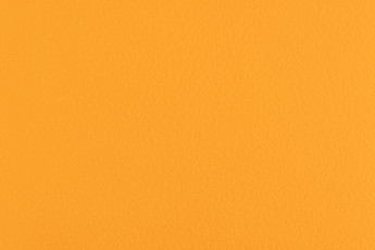 Forbo SportLine Standart Fr 0570 фото 1 | FLOORDEALER