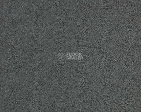 Ковролин Lano Incasa 820 Slate фото 1 | FLOORDEALER