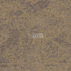 Ковровая плитка Interface Net Effect One B603 332927 Driftwood фото 1 | FLOORDEALER