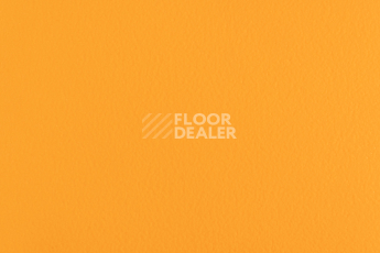 Линолеум Forbo SportLine Standart Fr 0570 фото 1 | FLOORDEALER
