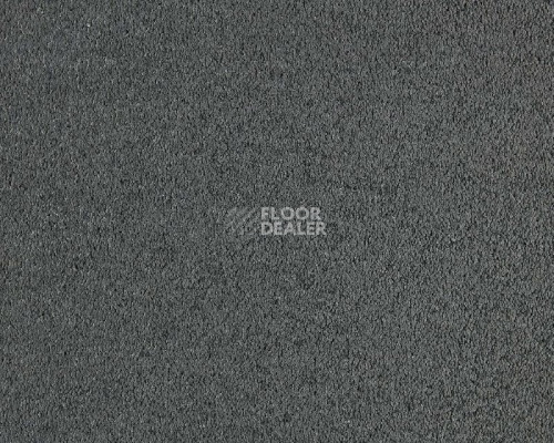 Ковролин Lano Incasa 820 Slate фото 1 | FLOORDEALER