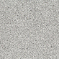 Ковровая плитка Desso Palatino 2502 фото 1 | FLOORDEALER