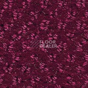 Ковролин Balsan Aquarelle Aquarelle 845 фото 1 | FLOORDEALER