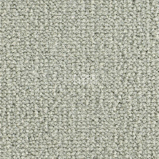 Ковролин Balsan Les Best 920 фото 1 | FLOORDEALER