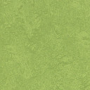 Линолеум Forbo Marmoleum Sport 83285 green  | FLOORDEALER