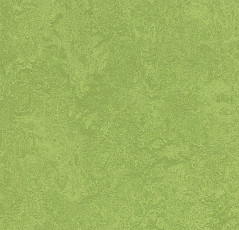 Линолеум Forbo Marmoleum Sport 83285 green фото 1 | FLOORDEALER