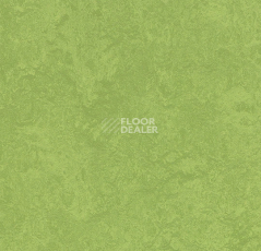 Линолеум Forbo Marmoleum Sport 83285 green фото 1 | FLOORDEALER