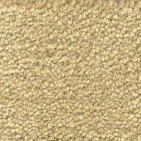 Emphatic Beaulieu of America 56120 фото 1 | FLOORDEALER