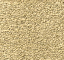 Ковролин Emphatic Beaulieu of America 56120 фото 1 | FLOORDEALER