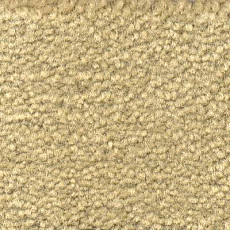 Ковролин Emphatic Beaulieu of America 56120 фото 1 | FLOORDEALER