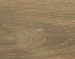 Ламинат Haro Tritty 200 Aqua 4V Орех Варио 544778 фото 1 | FLOORDEALER