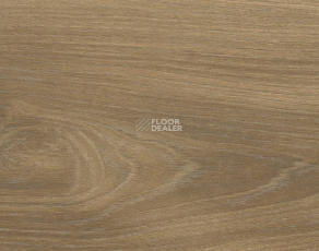 Haro Tritty 200 Aqua 4V Орех Варио 544778 фото 1 | FLOORDEALER