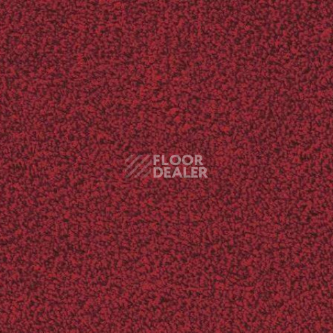 Ковролин Vorwerk Passion 1003 Vorwerk 1m02 фото 1 | FLOORDEALER
