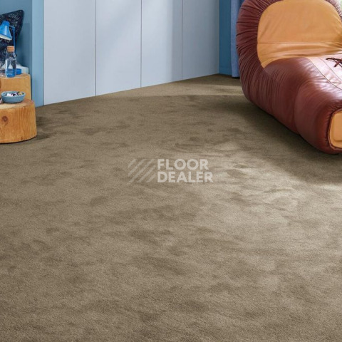 Vorwerk Essential 1076 Vorwerk 7g79 фото 2 | FLOORDEALER