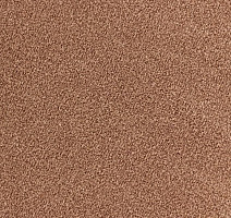 Ковролин Edel Ambition 135 фото 1 | FLOORDEALER