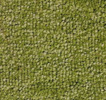 Ковролин SAG Palmira 8001 фото 1 | FLOORDEALER