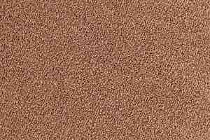 Ковролин Edel Ambition 135 фото  | FLOORDEALER