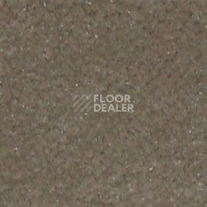 Ковролин Shaw all That Jazz 21321 фото 1 | FLOORDEALER