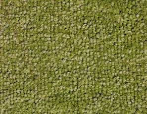 Ковролин SAG Palmira 8001 фото 1 | FLOORDEALER