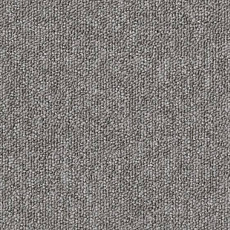 Desso Natural Nuances 9420 фото 1 | FLOORDEALER