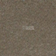 Ковролин Shaw all That Jazz 21321 фото 1 | FLOORDEALER