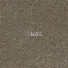 Ковролин Shaw all That Jazz 21321 фото 1 | FLOORDEALER