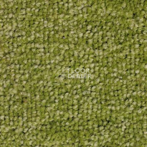 Ковролин SAG Palmira 8001 фото 1 | FLOORDEALER