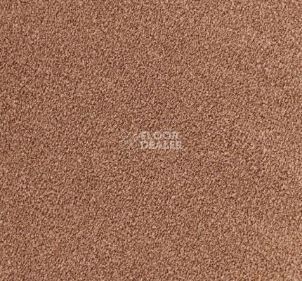 Ковролин Edel Ambition 135 фото 1 | FLOORDEALER