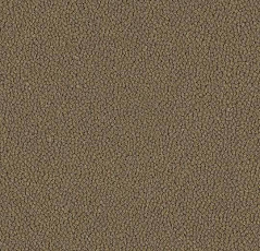 Ковровая плитка Westbond Ibond Natural 9763 фото 1 | FLOORDEALER