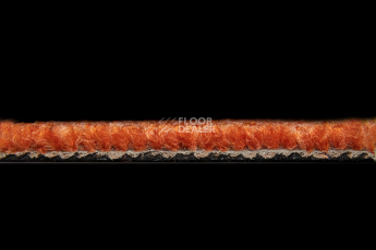 Season - Summer / Winter 430 фото 3 | FLOORDEALER