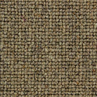 Ковролин Edel Centre Point 136 фото 1 | FLOORDEALER