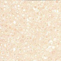 Линолеум Grabo Polis Blonde фото 1 | FLOORDEALER