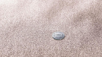 Ковролин Vorwerk Essential 1076 Vorwerk 1n58 фото 1 | FLOORDEALER