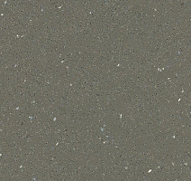 Линолеум Forbo SafeStep R11 174872 earth фото 1 | FLOORDEALER