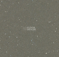 Линолеум Forbo SafeStep R11 174872 earth фото 1 | FLOORDEALER