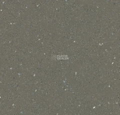 Forbo SafeStep R11 174872 earth фото 1 | FLOORDEALER