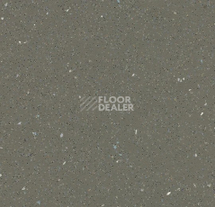 Линолеум Forbo SafeStep R11 174872 earth фото 1 | FLOORDEALER