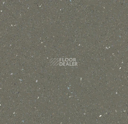 Линолеум Forbo SafeStep R11 174872 earth фото 1 | FLOORDEALER