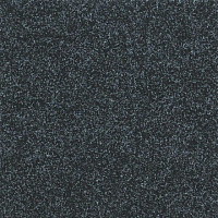 Ковролин Tarkett Enter Enter 66810 фото 1 | FLOORDEALER