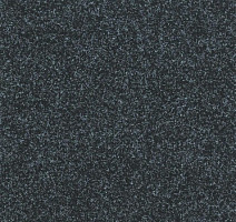 Ковролин Tarkett Enter Enter 66810 фото 1 | FLOORDEALER