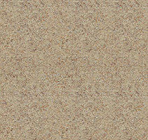 Линолеум Lg Delight DLT9103 фото 1 | FLOORDEALER