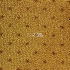 Ковролин Ambassador Associated Weavers 54 фото 1 | FLOORDEALER