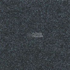 Ковролин Tarkett Enter Enter 66810 фото 1 | FLOORDEALER