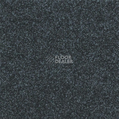 Ковролин Tarkett Enter Enter 66810 фото 1 | FLOORDEALER